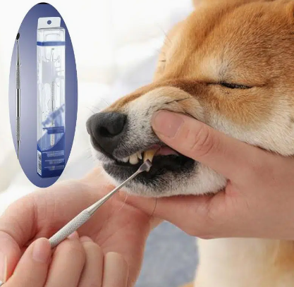 Pets Teeth Cleaning Tools Double Sided Dogs Cats Tartar Remover Dental Stones Stainless Pet Supplies