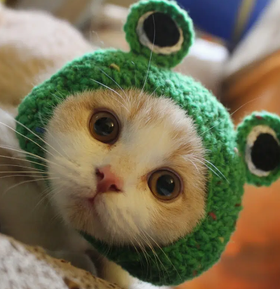 Hand Knitted Frog Shaped Pet Headwear For Dog & Cat, Pet Headgear Wool Knit Funny Photo Props