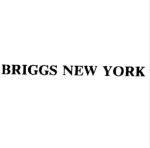 Briggs New York