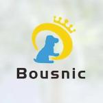 BOUSNIC